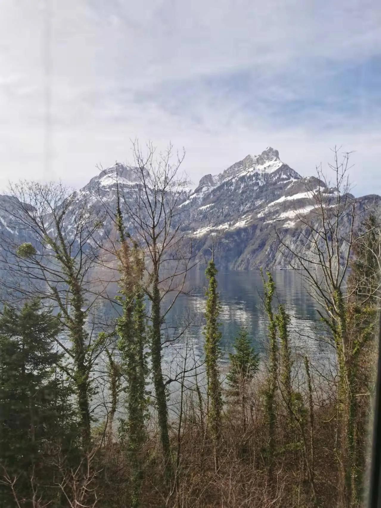 卢卡看巴西比赛,卢卡看内马尔世界杯