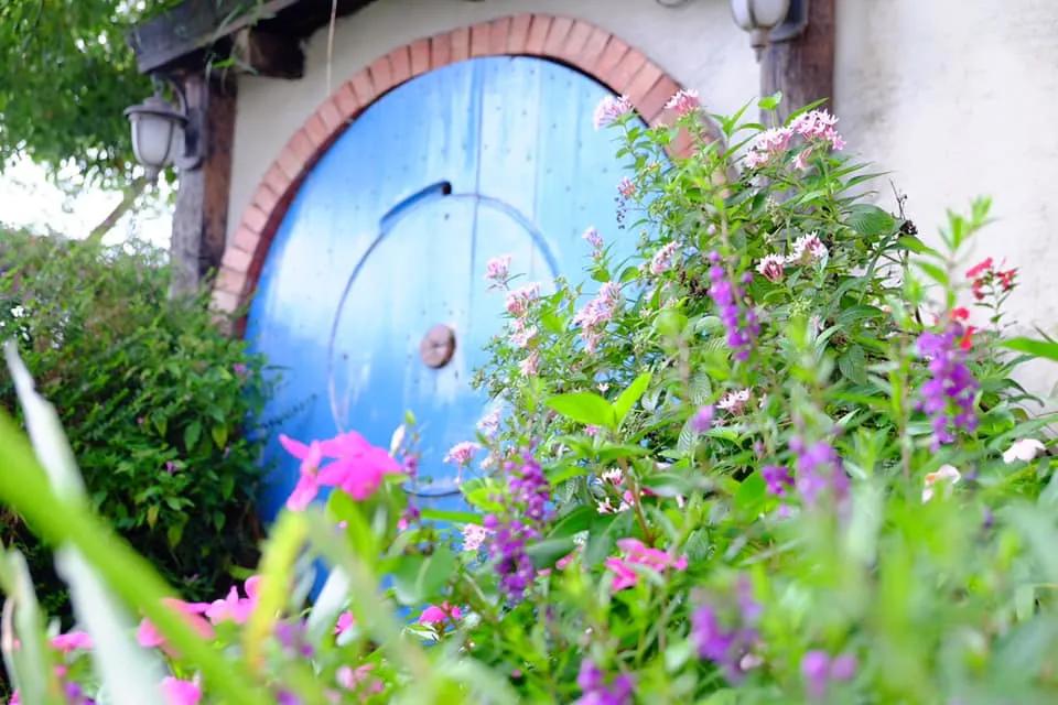 最近最火爆的面包店,老牌面包店探店