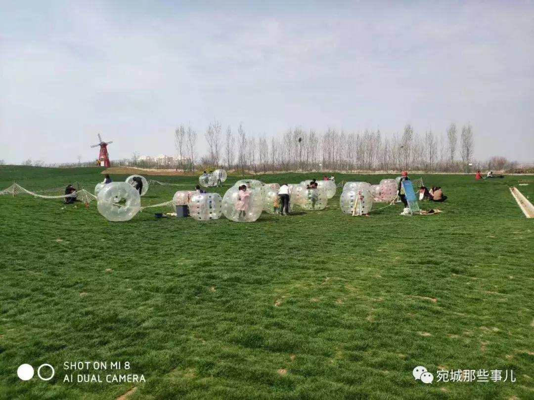 南阳老徐,河南南阳老徐最新视频