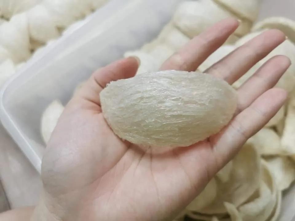 印尼燕窝和马来西亚哪个好,柬埔寨燕窝和印尼燕窝的区别