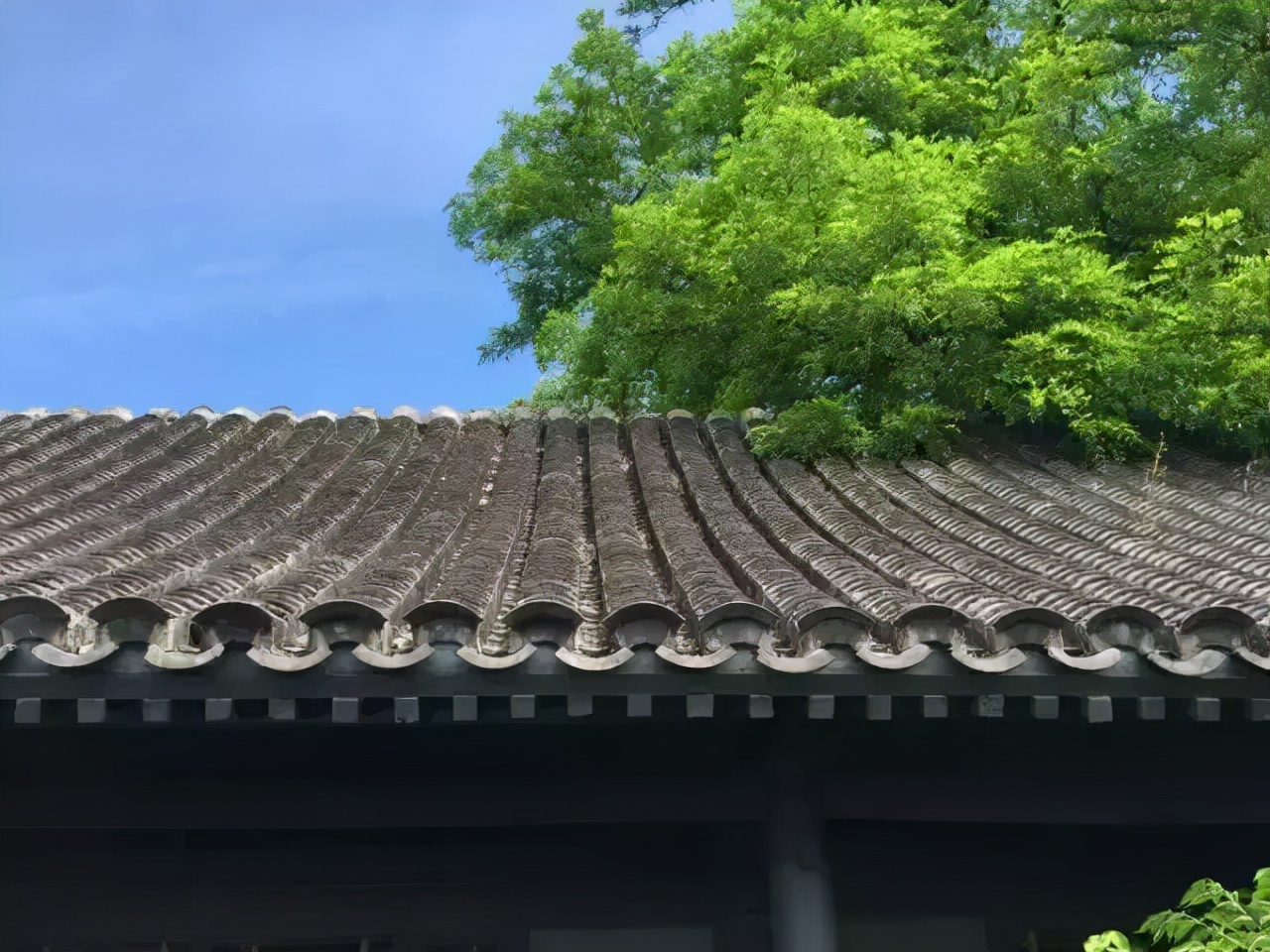 有个院子让生活过成诗,租个院子过田园生活