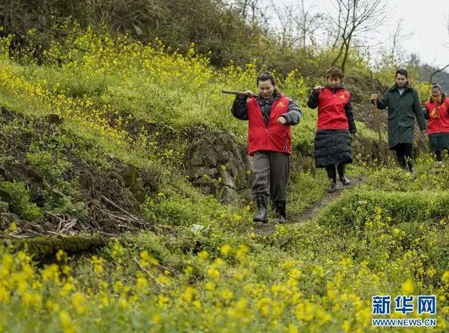 农资“一站式”到家！疫情下的春耕，他们还有哪些好办法？