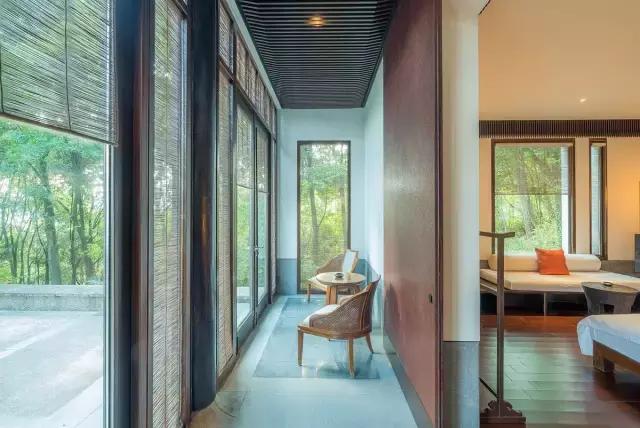 最美银杏秋景自驾攻略,杭州银杏树旅游攻略