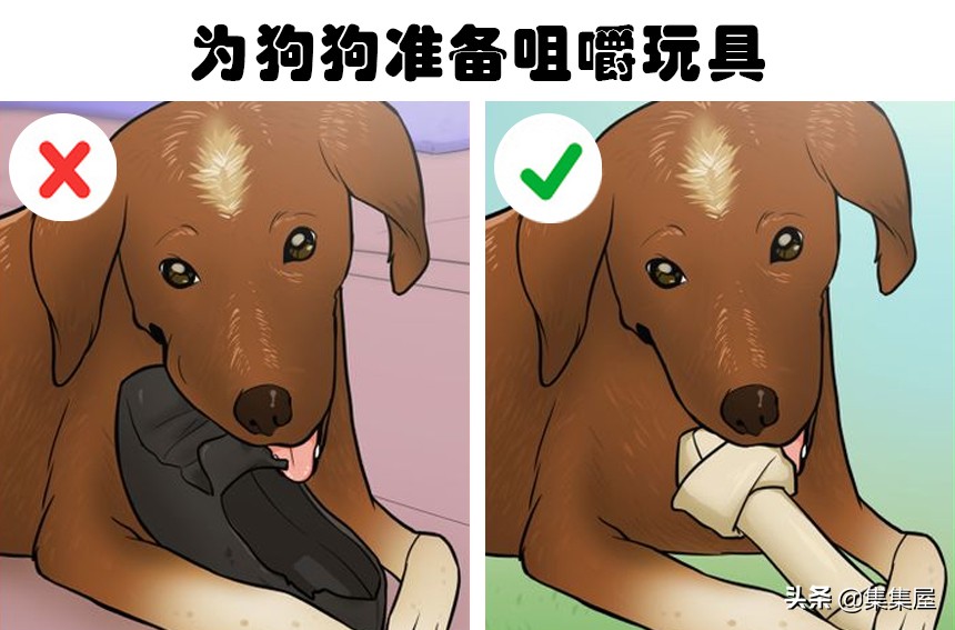 狗狗喜欢咬东西戴什么纠正,狗狗喜欢吞食怎么办