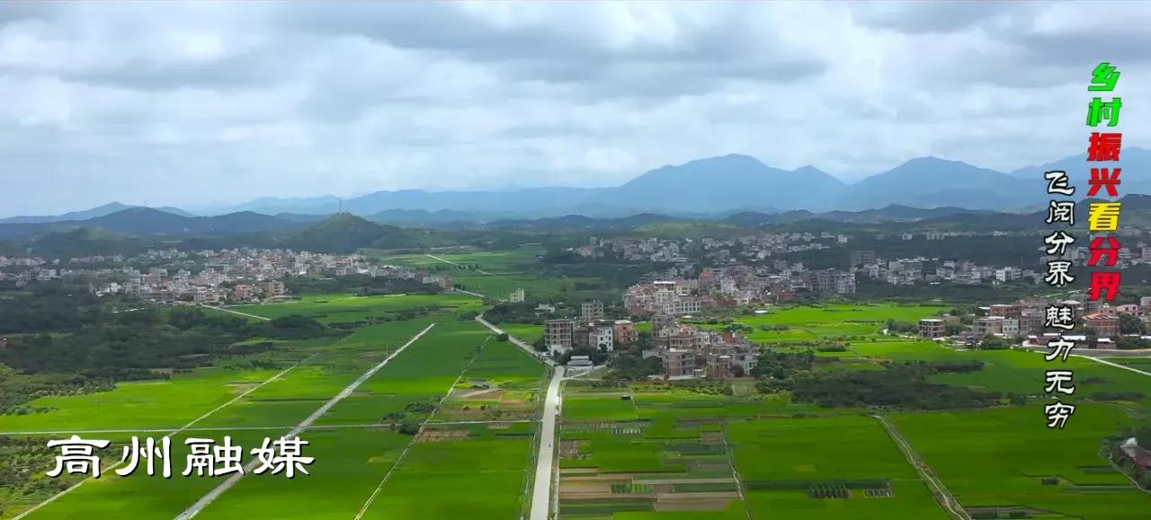 飞阅系列,飞阅新闻最新消息