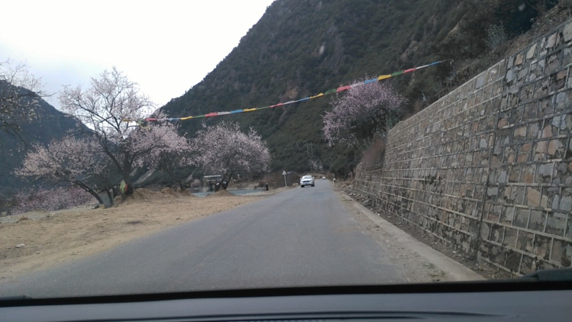 西藏旅游川进青出16天环线攻略,盘点西藏自驾游9条经典线路