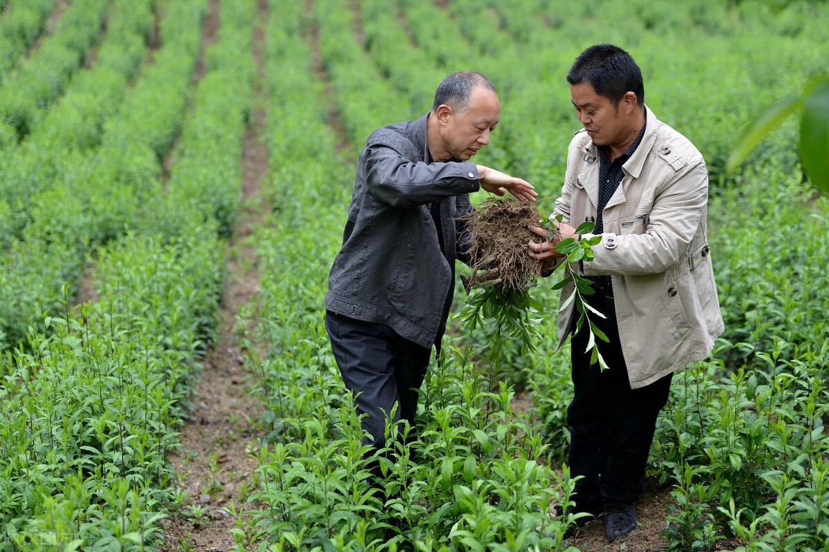 （四百九十）上梁