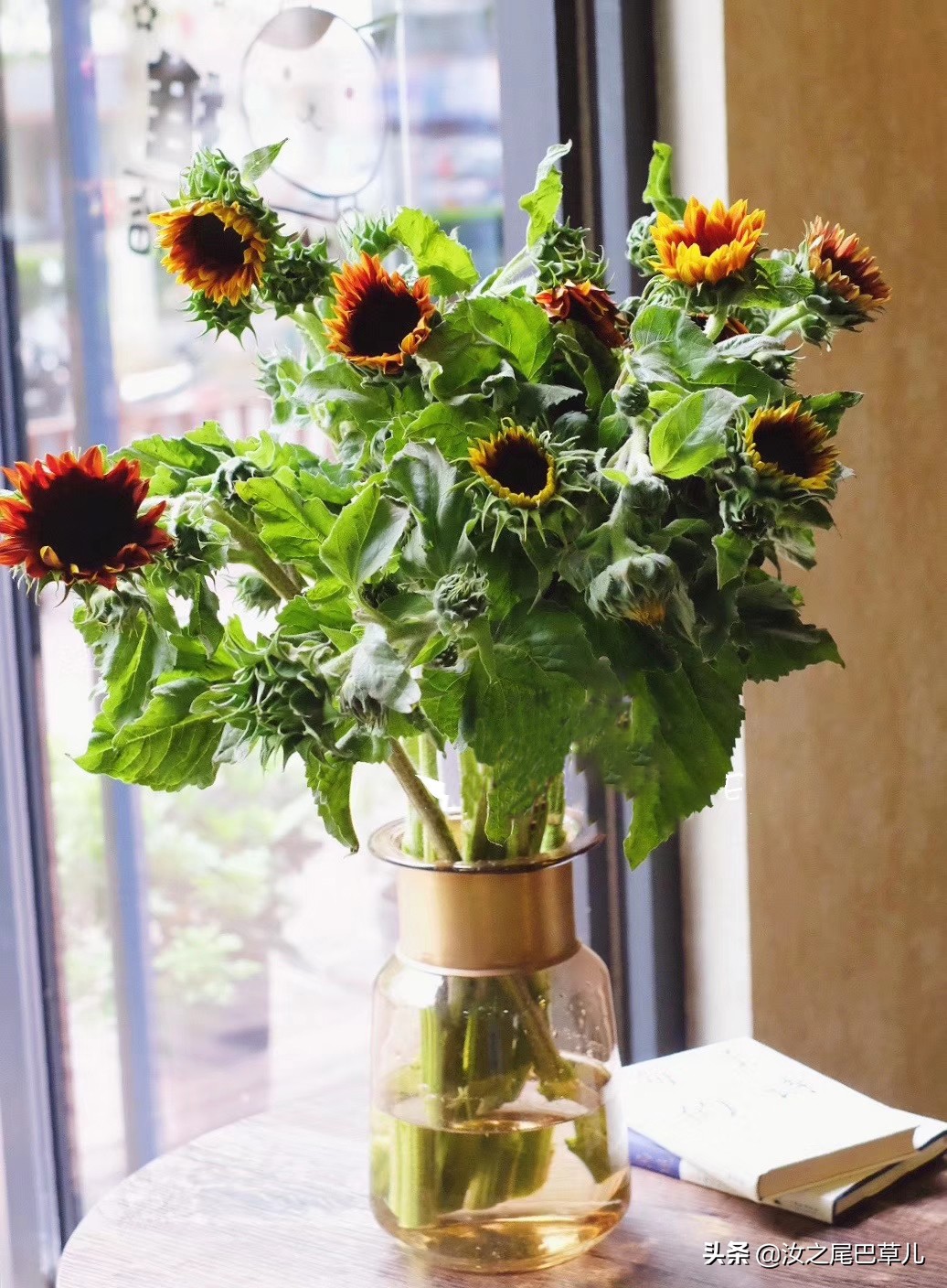 刚买回来的鲜花有点蔫怎么处理,刚买的鲜花就枯萎了是什么原因