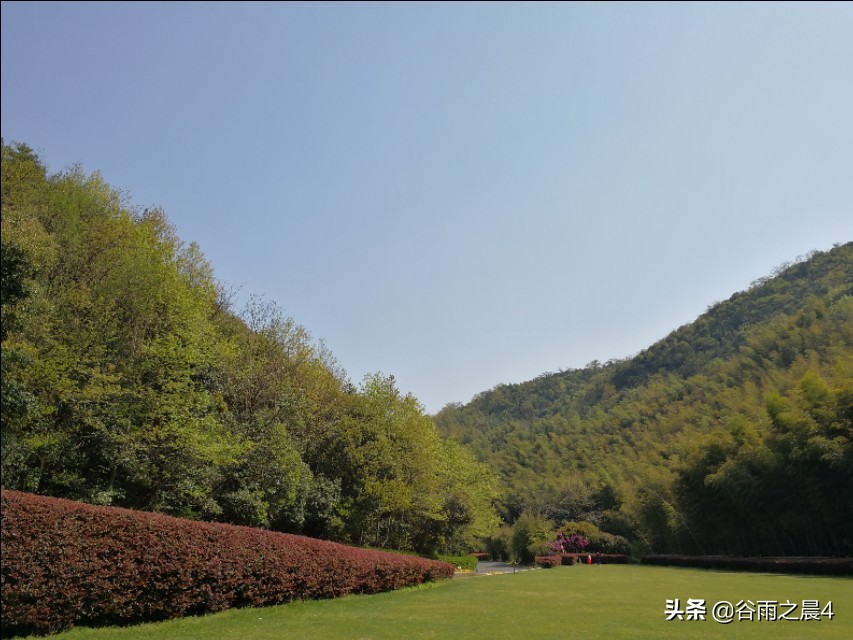 宜兴竹海徒步路线推荐,宜兴竹海最高海拔多少