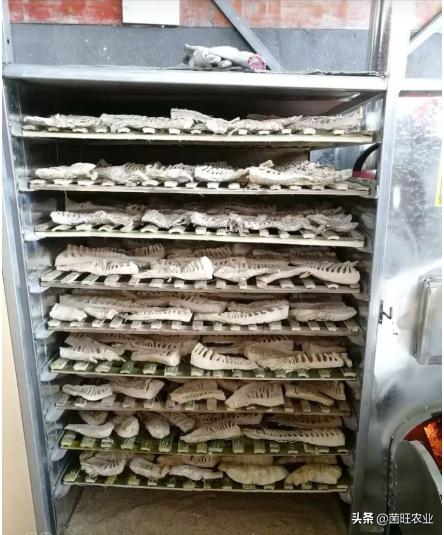 红壳笋干和毛竹笋干,竹笋干怎么吃功效与作用