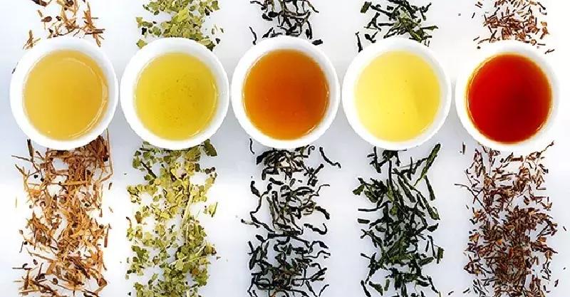 茶叶的种类有哪些具体如何分类,几种茶叶品种的区别在哪里