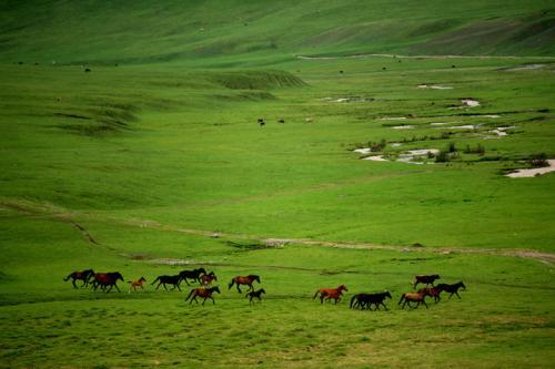 王昌龄边塞诗十首经典,黄沙百战穿金甲全诗赏析
