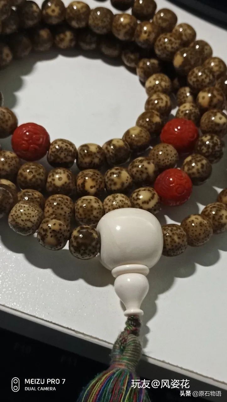 星月菩提一般几个籽,星月菩提只要是真的就可以玩