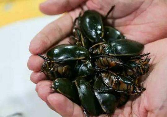 广州钟村夜市美食,广州隐藏在巷子里的美食