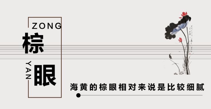 从表面判断海南黄花梨老料,海南黄花梨紫油梨真假