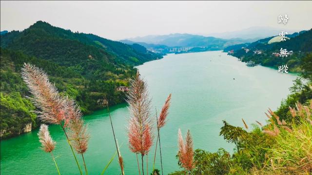 武隆县仙女山森林公园怎么去,武隆仙女山森林公园游玩攻略