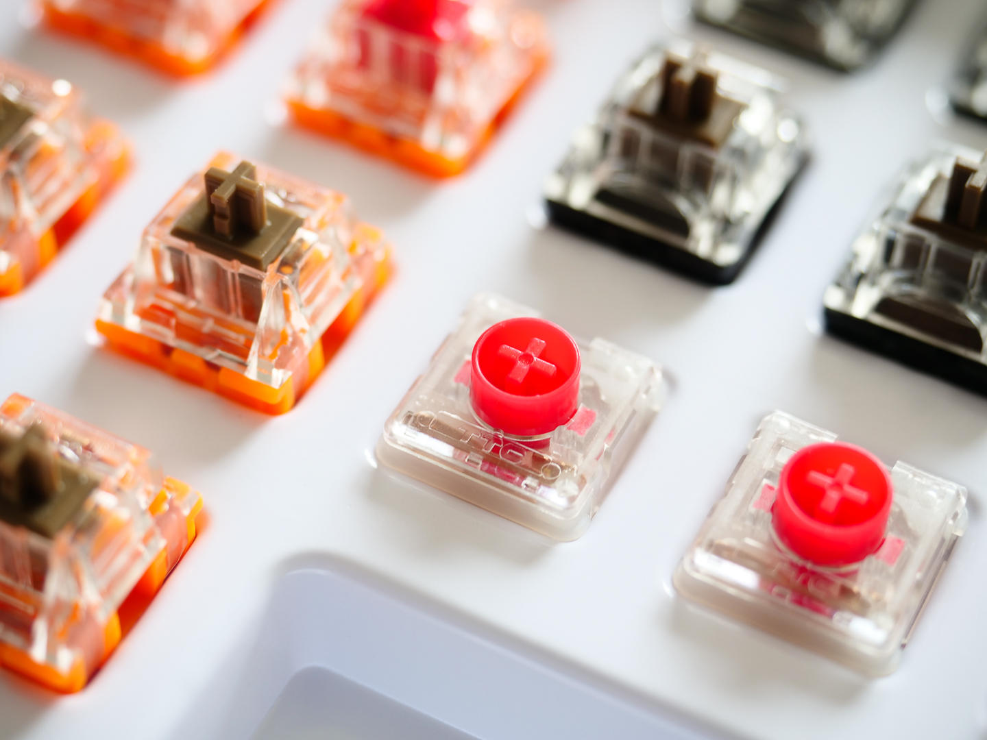 ttc金粉轴为什么比金红轴更受欢迎,ttc金粉轴为啥那么贵