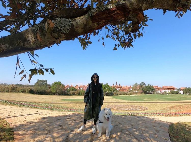 「第四期」一辆房车,三只毛孩子,三个姑娘,9476公里奇遇记