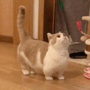 算了还是要上班系列表情包,一想到明天上班就想打个人表情包