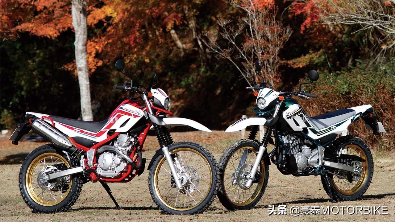 雅马哈250飞致下一代,雅马哈2502024款有消息吗