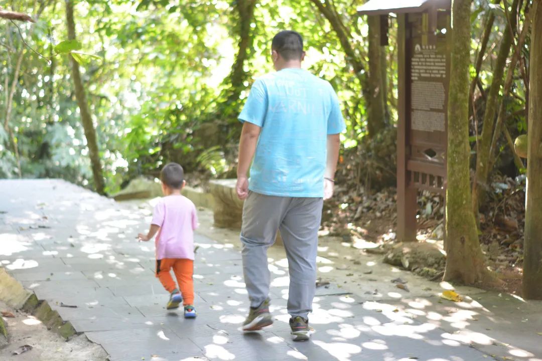 躲进这道地球上“美丽的伤痕”里，感受盛夏直降10℃的清凉