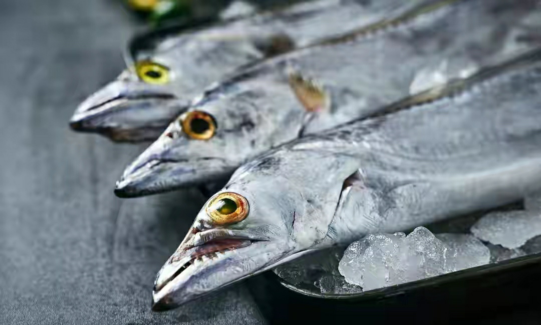 夏天买鱼容易死,夏天买鱼要怎么选