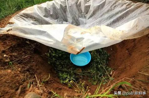 户外探险取水视频教程,户外探险必备十大技能