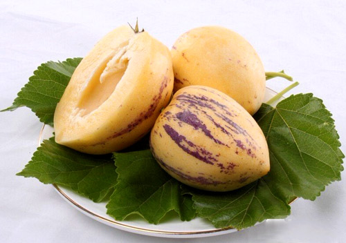 止咳可以吃糖吗,止咳可以吃柿子吗