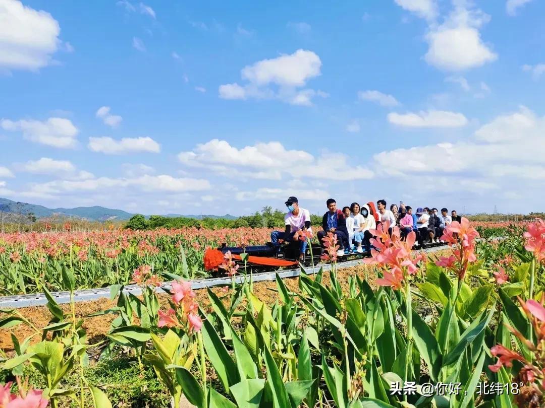 三亚拍婚纱照一般在哪里取景,屋顶上的绿宝石三亚取景地