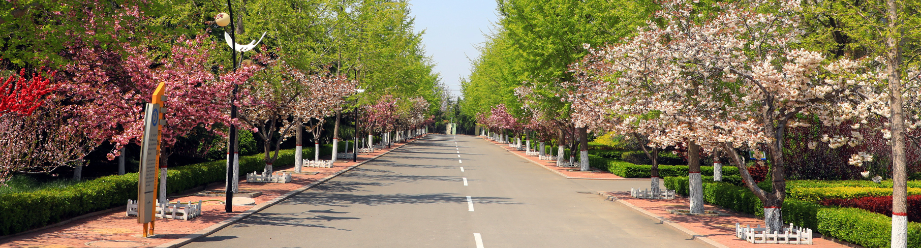 潍坊的学校怎么样,潍坊的好学校有哪些