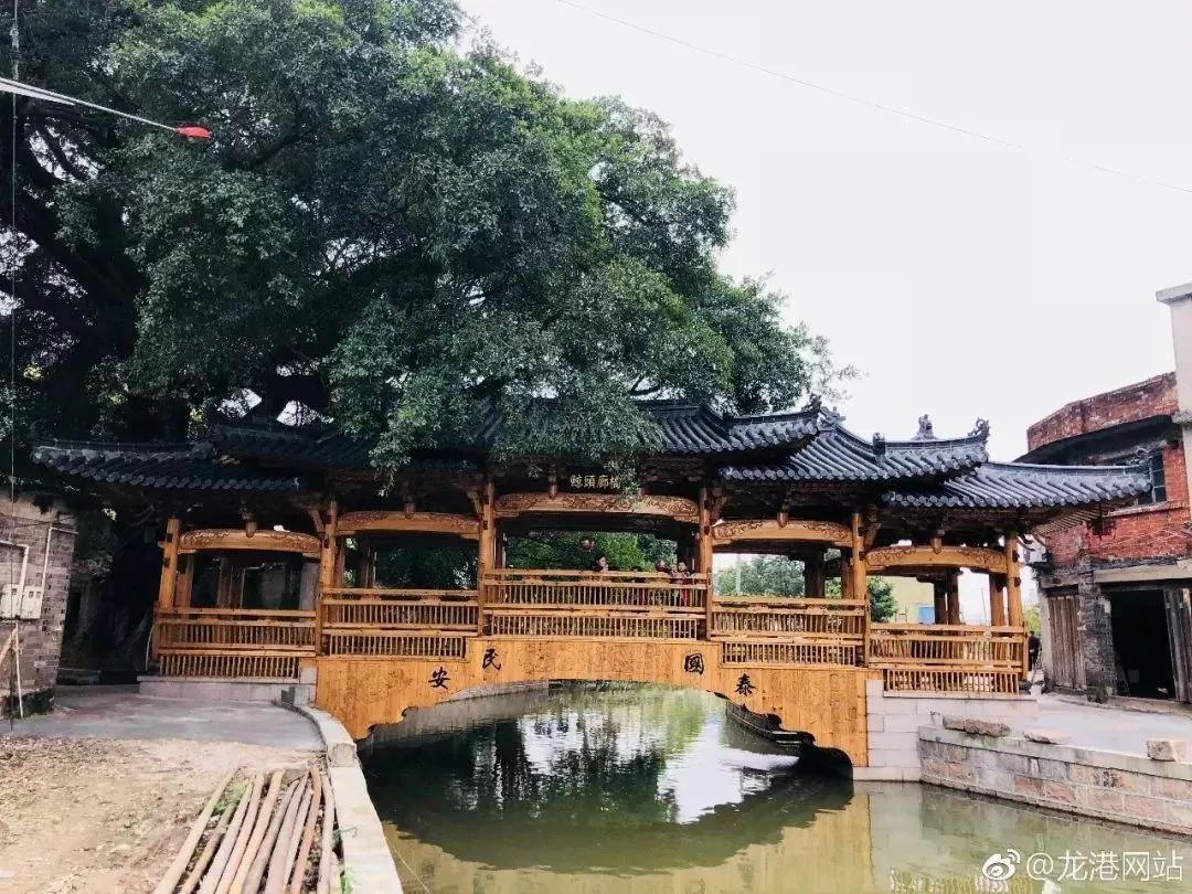 苍南千年古村旅游攻略,苍南十大最美村庄