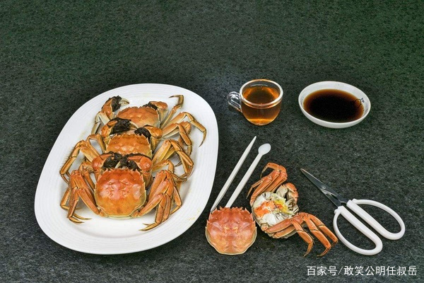 阳澄湖大闸蟹和螃蟹有什么区别,大闸蟹为什么阳澄湖出名
