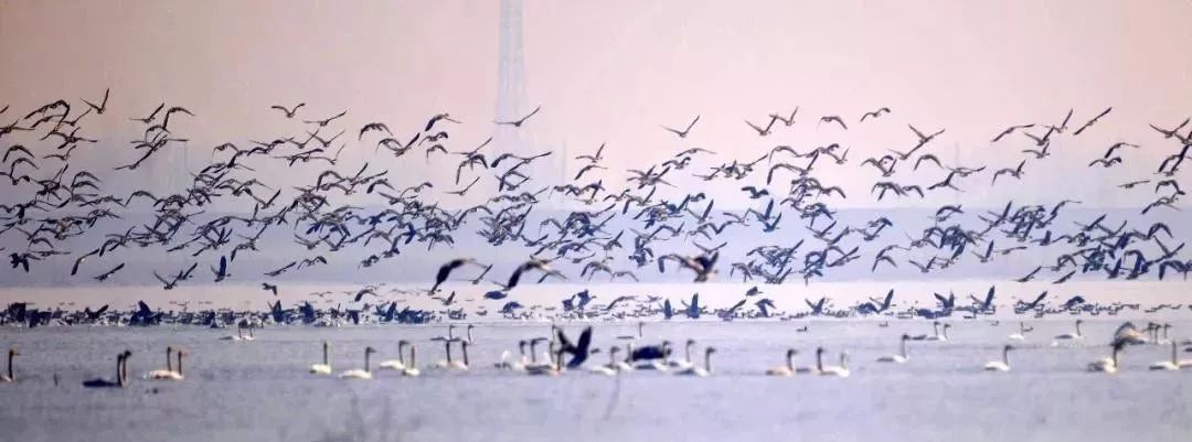 探寻高原深闺领略川西风情,探寻这些美不胜收的景点