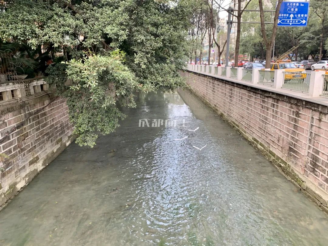 成都绿道风景美如画,成都周边哪条河边绿道最美