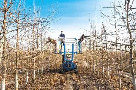 脱贫攻坚书写乡村振兴新画卷,书写新时代奋斗征程新篇章