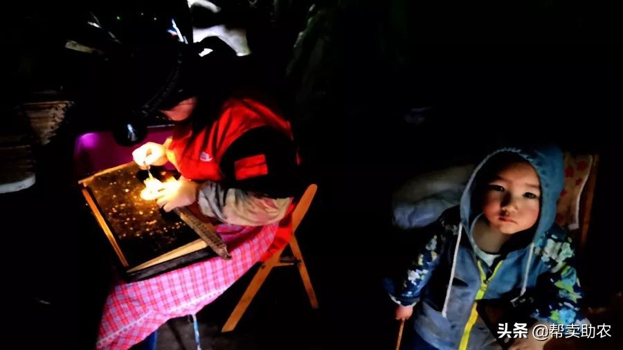 乾隆皇帝宠爱女人,乾隆皇帝宠爱七公主