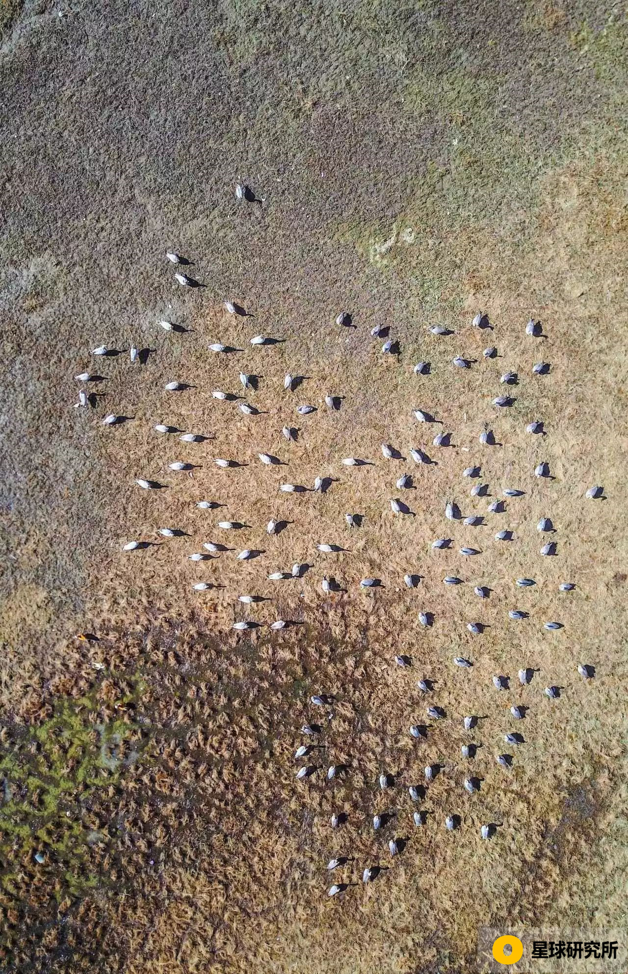 山河图全景图高清大图,中国壮美山河全景图