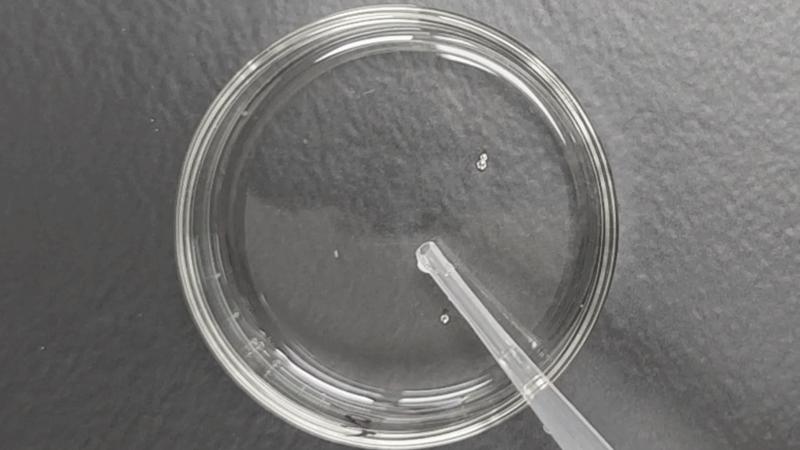 2023卸妆油测评良心推荐,2015卸妆油排行榜10强