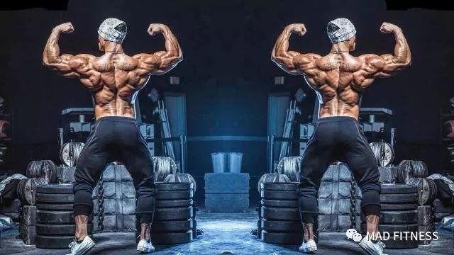 健体之王杰瑞米布恩迪,健身霸王杰瑞米布恩迪亚