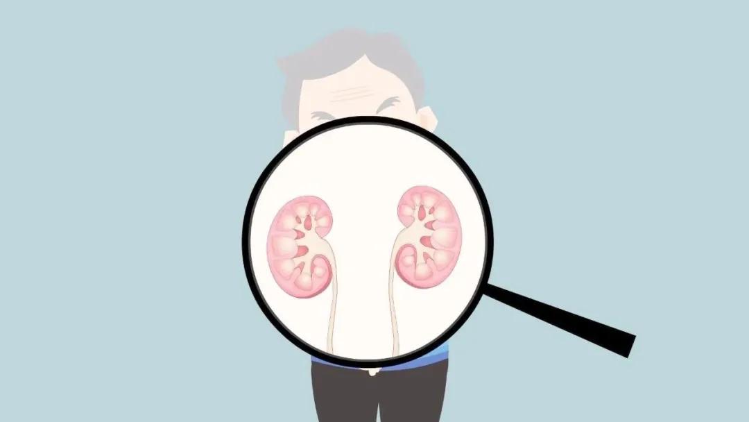 肾病吃激素有哪些偏方能治好肾病,得了肾病什么都不能吃