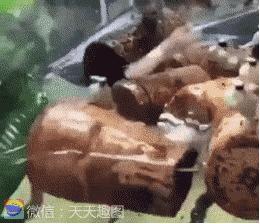 媳妇说丢就丢,媳妇说丢了怎么回