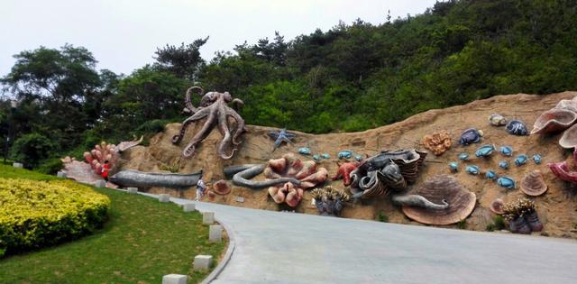 大连东港十年前后的对比,大连东港发展历程