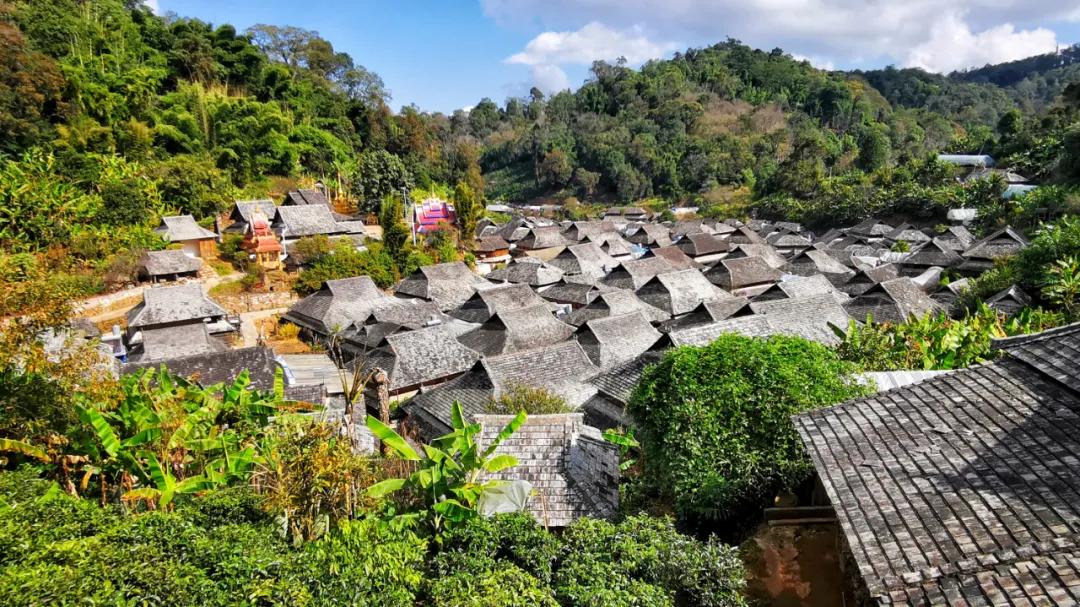 泰国西双版纳旅行,西双版纳基诺山热带雨林徒步