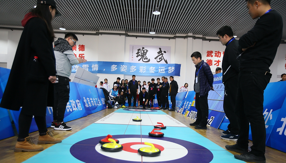 北京市第一届青少年冰壶冠军赛,北京市第一届运动会花样滑冰