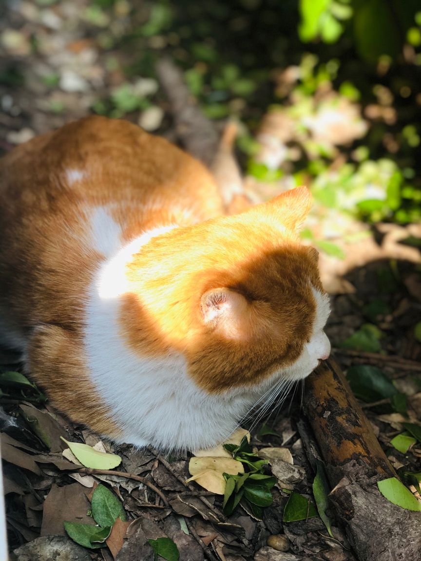 北京所有小学排名一览表,北京30所小学排名一览表