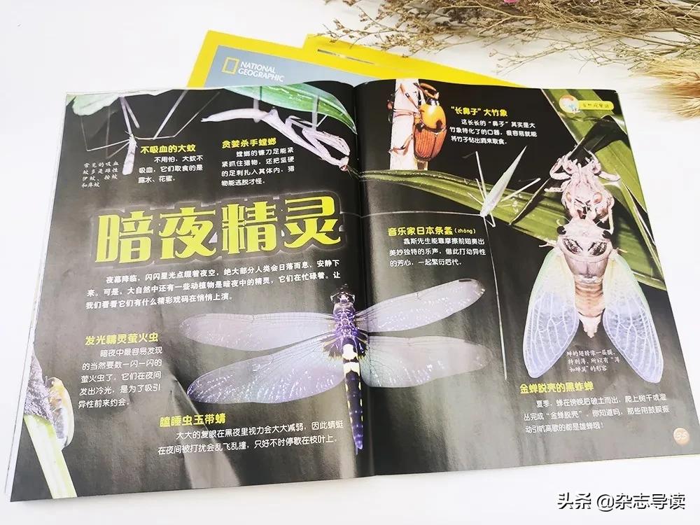 孩子必读的科普读物,哪些适合小学生看的科普杂志