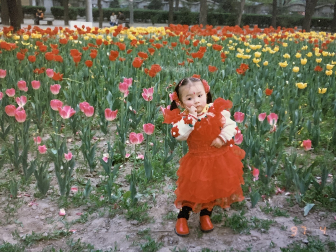 最美的西安兴庆公园,西安兴庆公园一道美丽的风景线