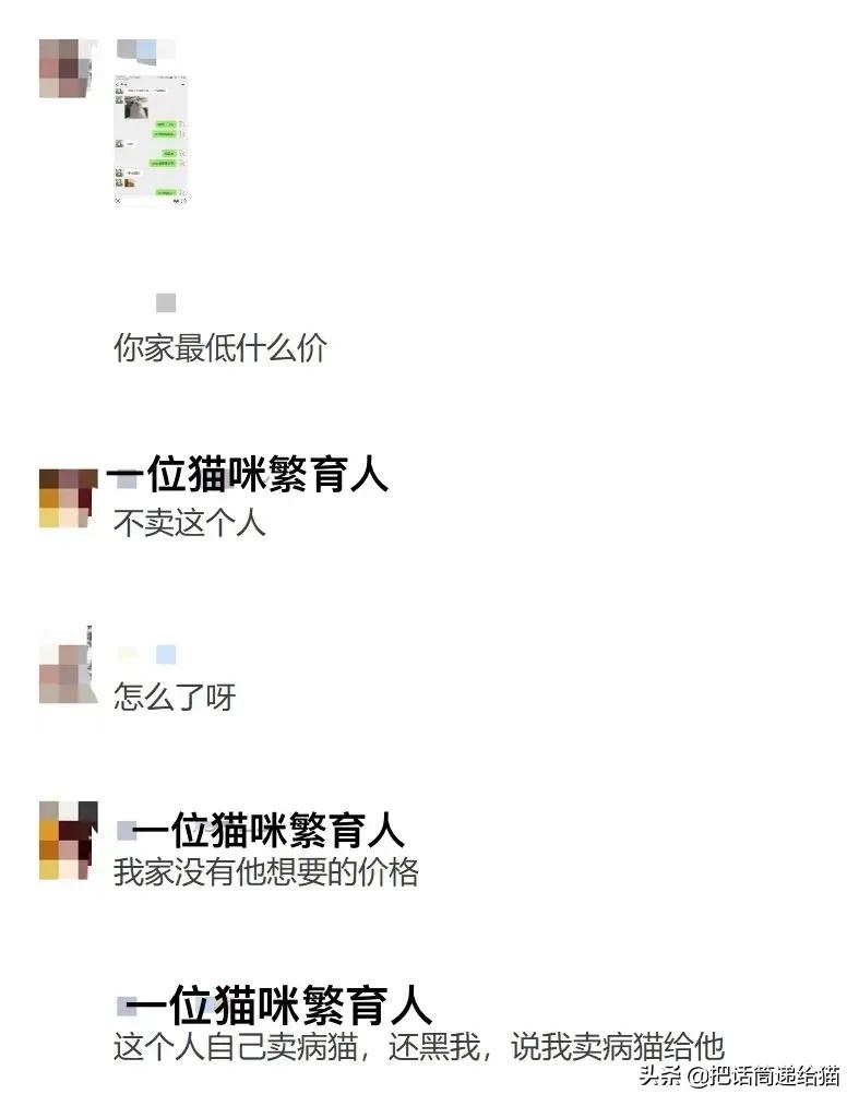 虐猫后良心发现加价“*养送**”？在日本领养流浪猫没你想的那么美好