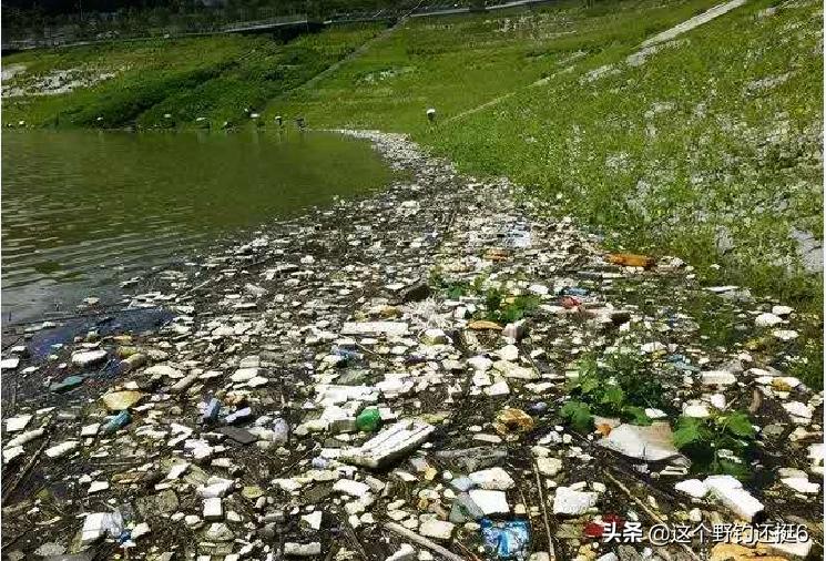 钓鱼直播骗局大揭秘喷一下,钓鱼直播骗术揭秘