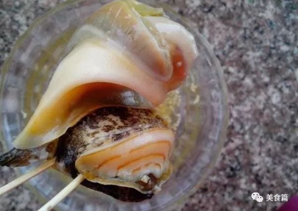 吃20斤海螺,吃20斤大海螺